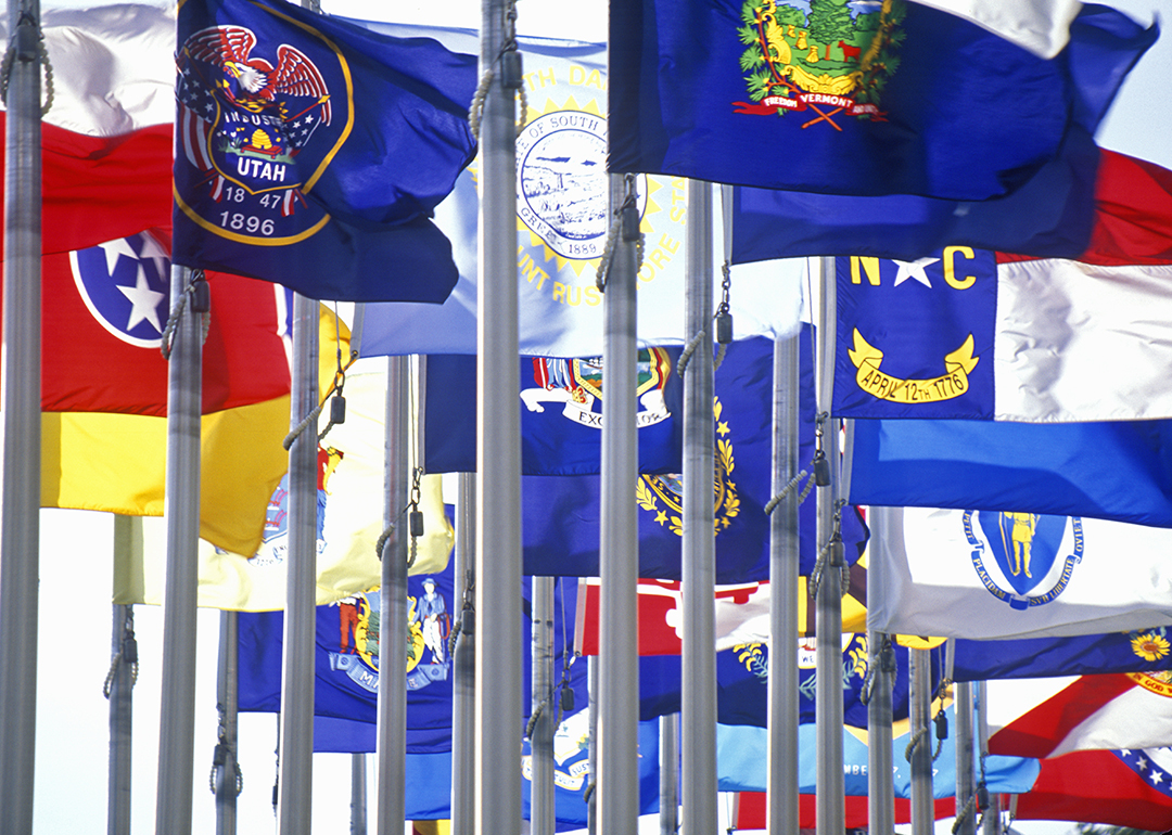 State Seals Decoded: The Motifs That Symbolize Each State Across America